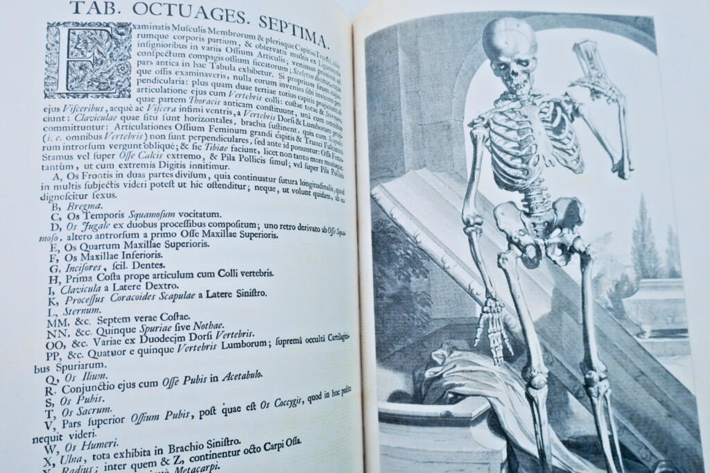 Anatomia corporum humanorum centum et viginti tabulis 1750