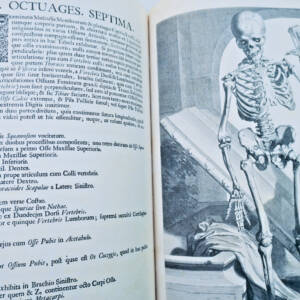 Anatomia corporum humanorum centum et viginti tabulis 1750
