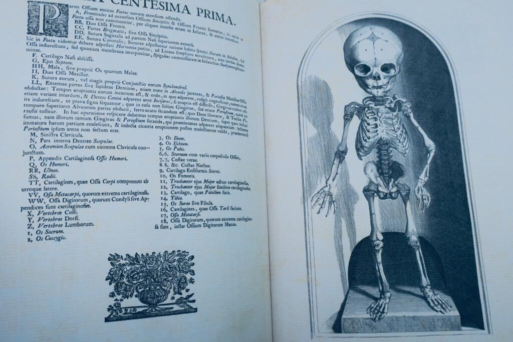 Anatomia corporum humanorum centum et viginti tabulis 1750