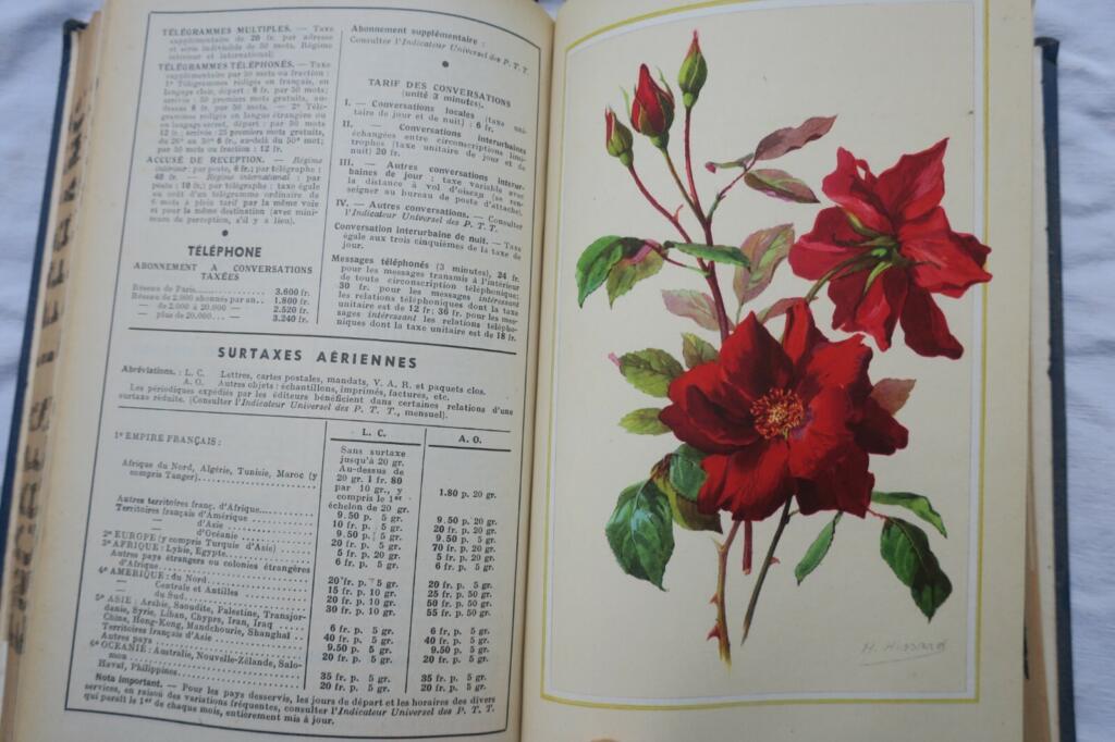 Guide for Industry Directors 1948