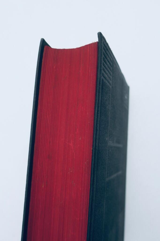 Luthers deutsche Bibel in Deluxe-Taschenausgabe