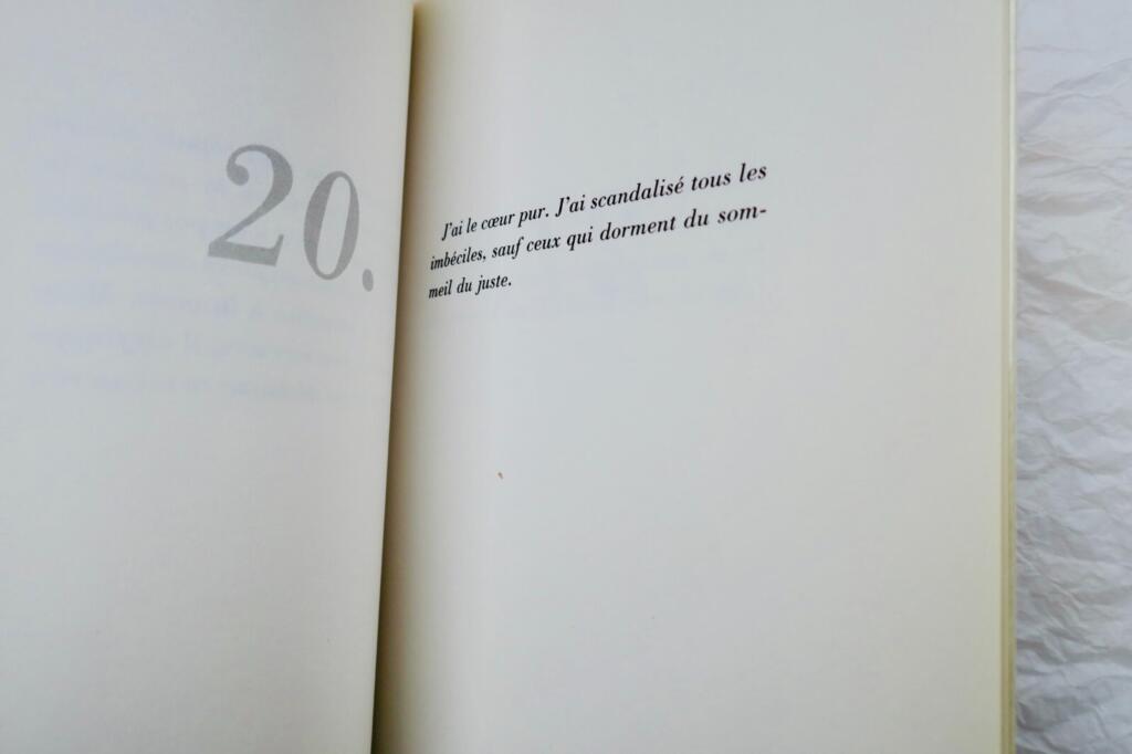 Surrealistische Kunstpoetik