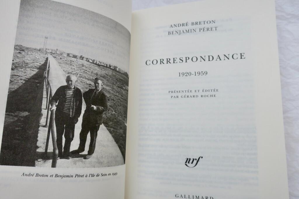 Korrespondenz zwischen zwei Schriftstellern