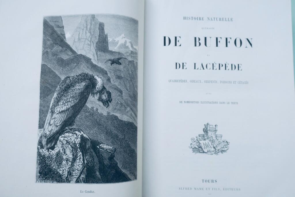 Buffon, Lacépède Histoire naturelle extraite de Buffon et de Lacépède 1870