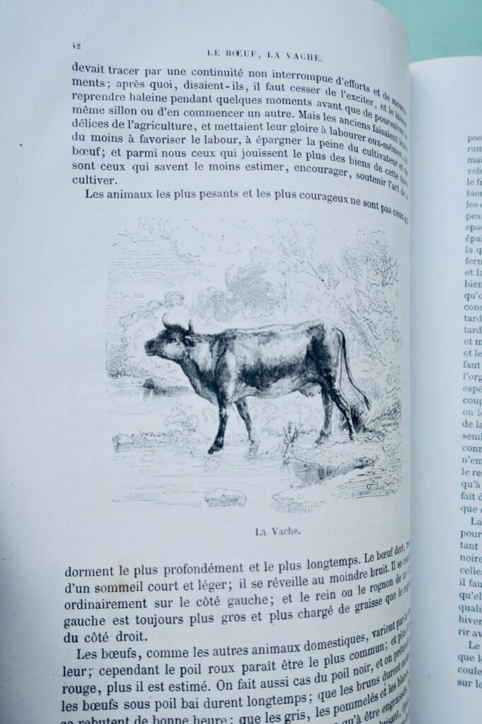 Buffon, Lacépède Histoire naturelle extraite de Buffon et de Lacépède 1870