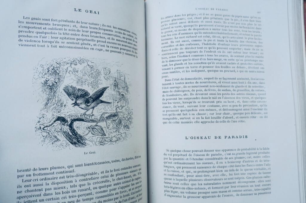 Buffon, Lacépède Histoire naturelle extraite de Buffon et de Lacépède 1870