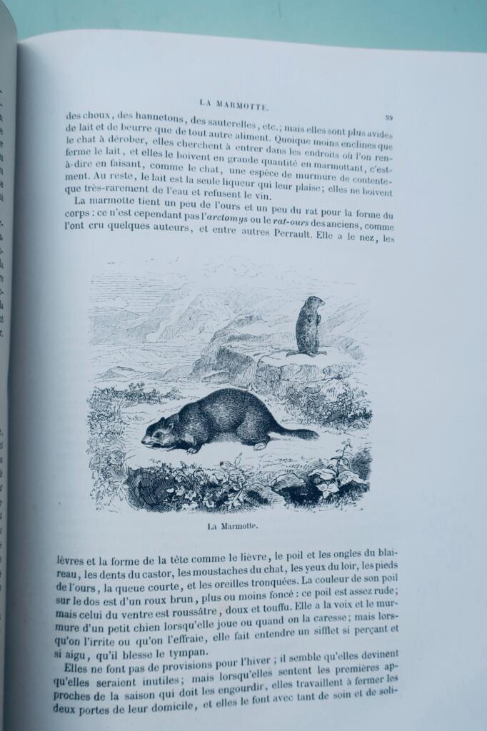 Buffon, Lacépède Histoire naturelle extraite de Buffon et de Lacépède 1870