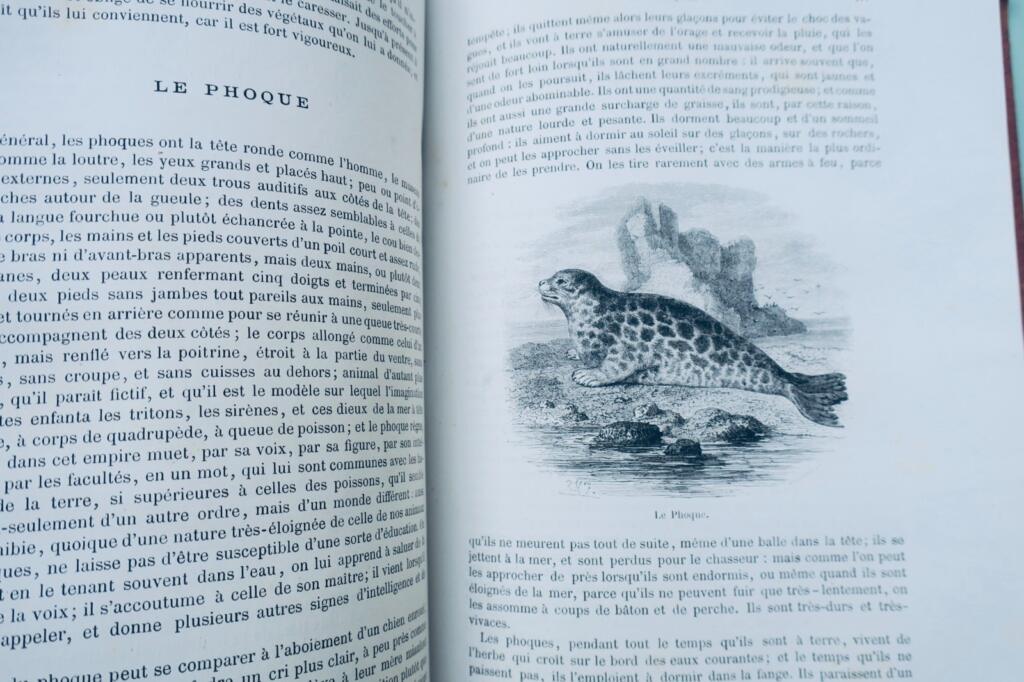 Buffon, Lacépède Histoire naturelle extraite de Buffon et de Lacépède 1870
