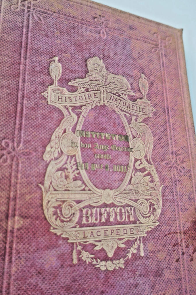 Buffon, Lacépède Histoire naturelle extraite de Buffon et de Lacépède 1870