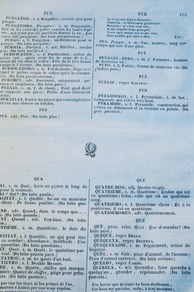 castres TARN 81 DICTIONNAIRE DE LA LANGUE ROMANO-CASTRAISE ET DES CONTREES 1850