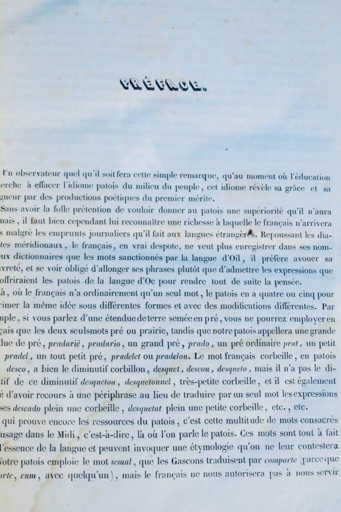 castres TARN 81 DICTIONNAIRE DE LA LANGUE ROMANO-CASTRAISE ET DES CONTREES 1850