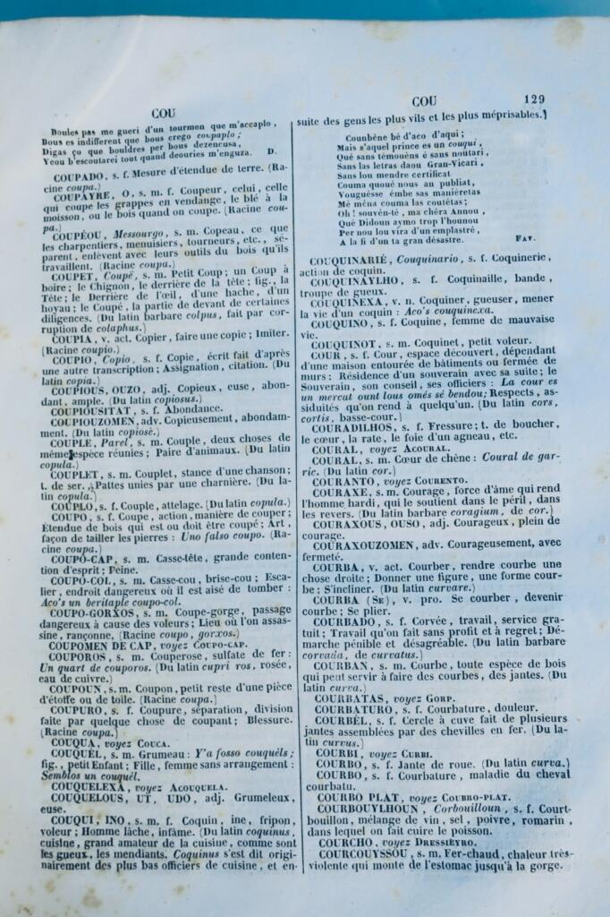 castres TARN 81 DICTIONNAIRE DE LA LANGUE ROMANO-CASTRAISE ET DES CONTREES 1850