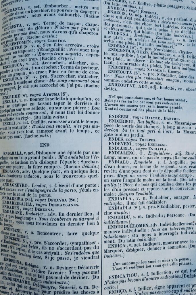 castres TARN 81 DICTIONNAIRE DE LA LANGUE ROMANO-CASTRAISE ET DES CONTREES 1850