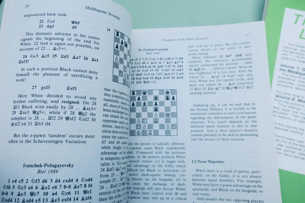 chess Polugavevsky Sicilian Labyrinth