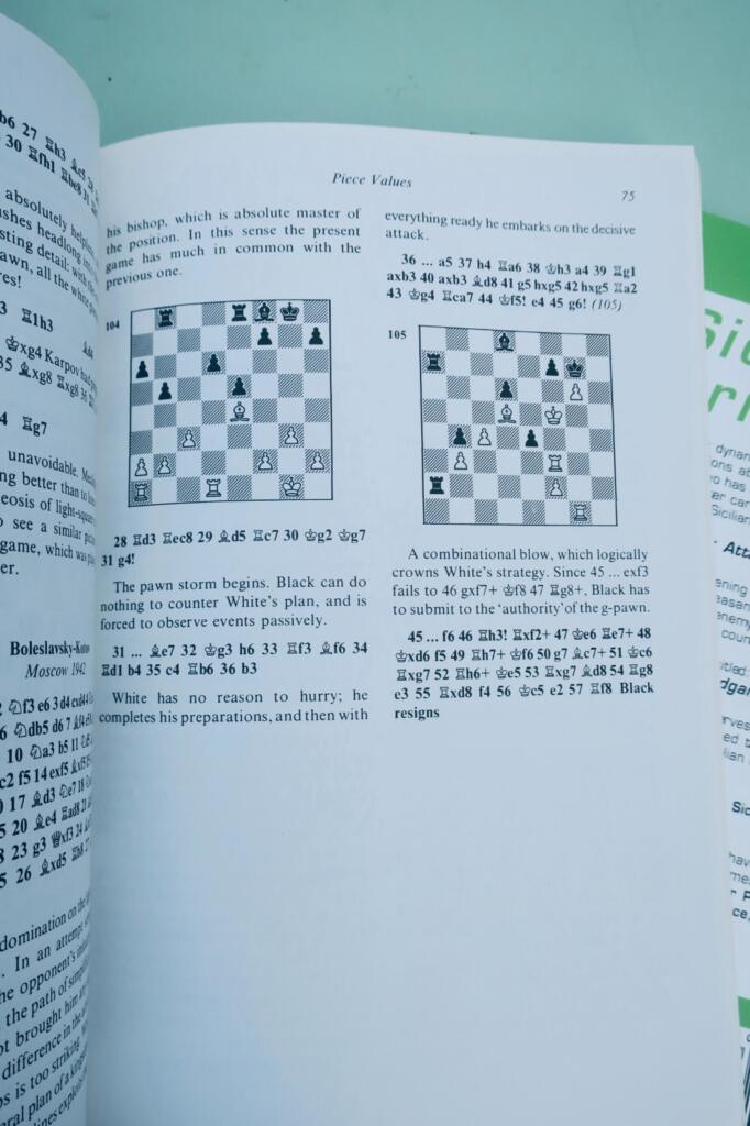 chess Polugavevsky Sicilian Labyrinth