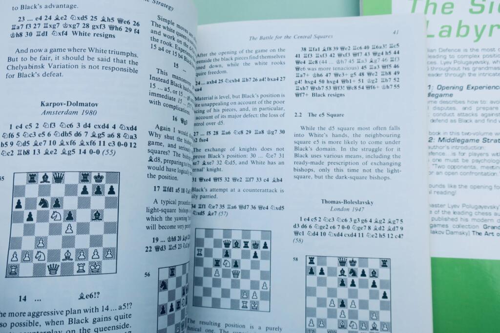 chess Polugavevsky Sicilian Labyrinth