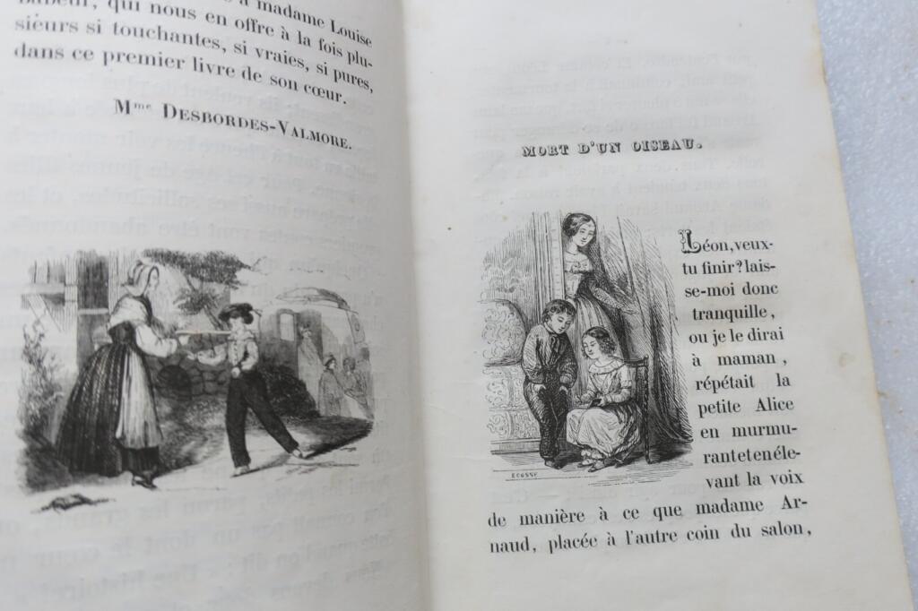 フランスの真実の物語
