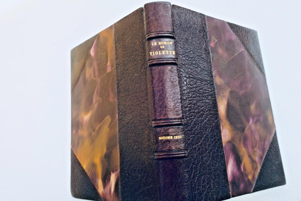 curiosa LE ROMAN DE VIOLETTE