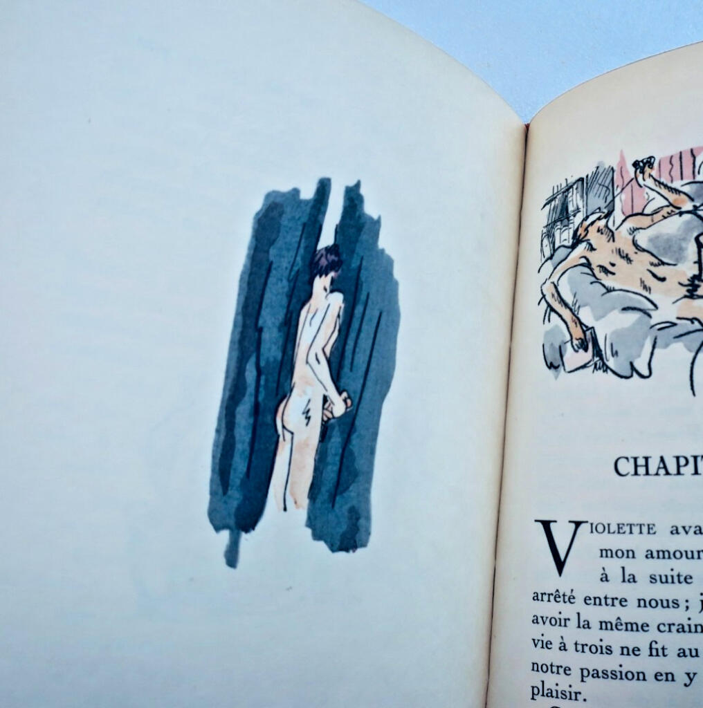 curiosa LE ROMAN DE VIOLETTE