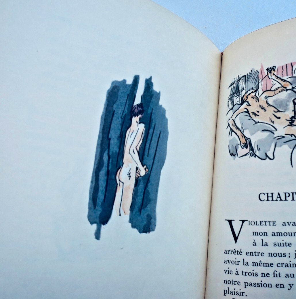 curiosa LE ROMAN DE VIOLETTE, 1920 (livre ancien, vue 2 sur 9)