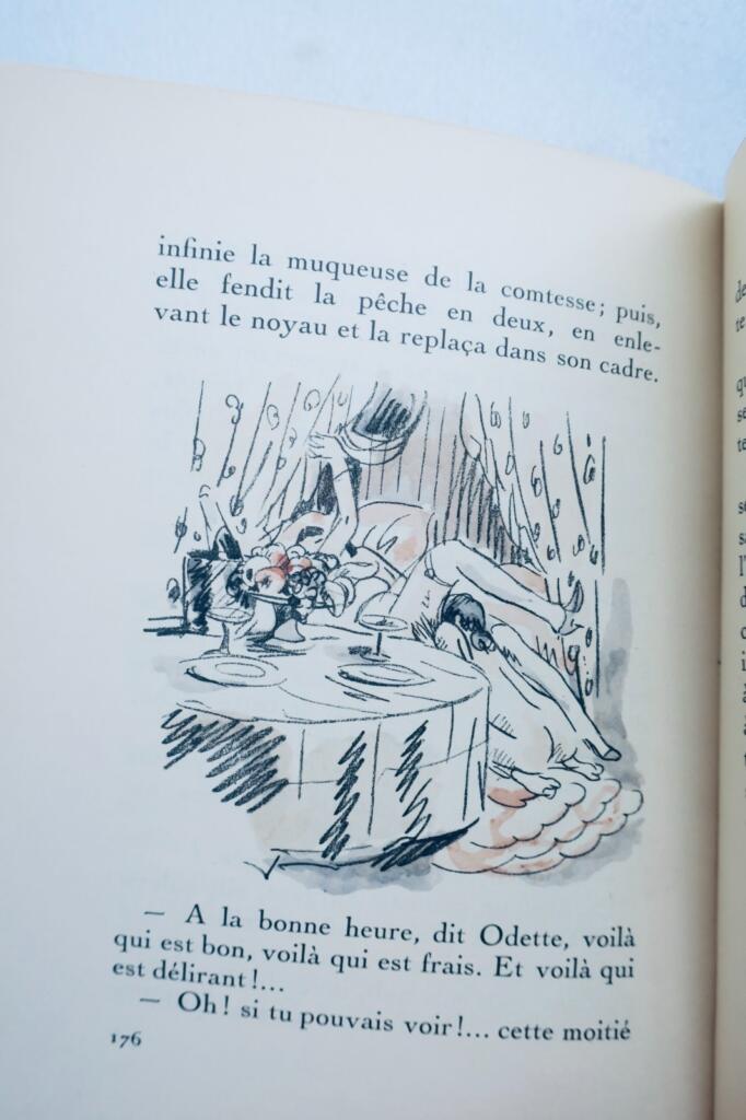 curiosa LE ROMAN DE VIOLETTE