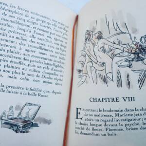 curiosa LE ROMAN DE VIOLETTE