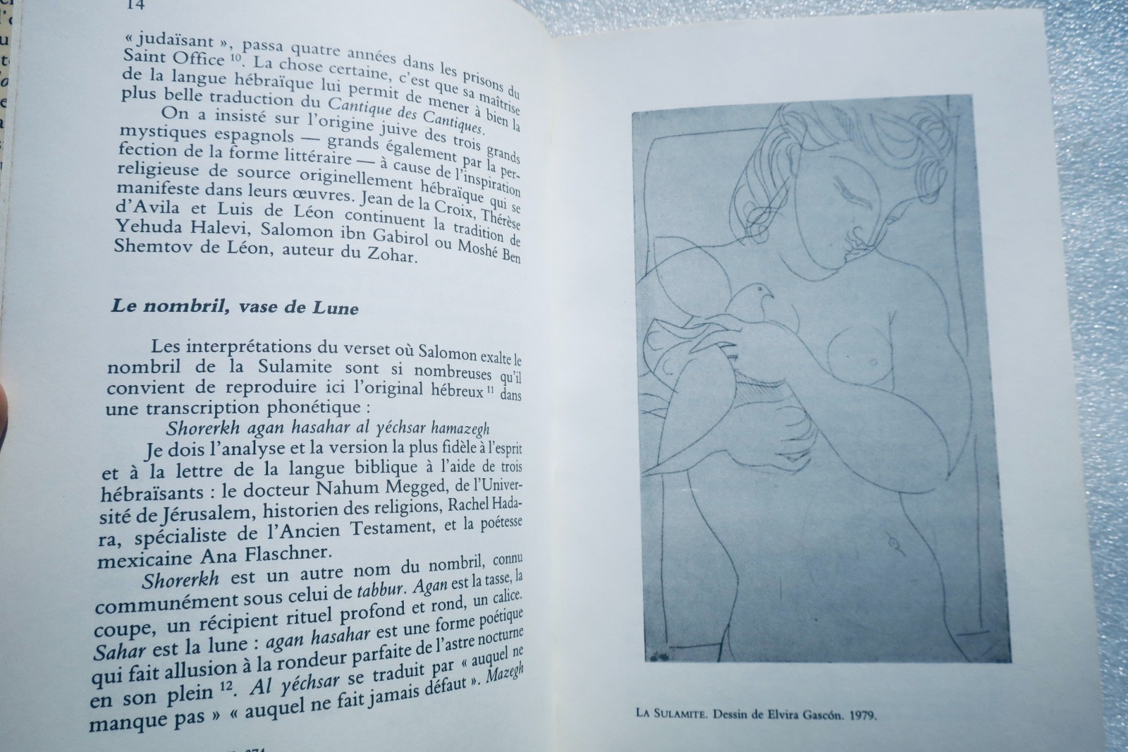Erotic curiosa Nombril centre