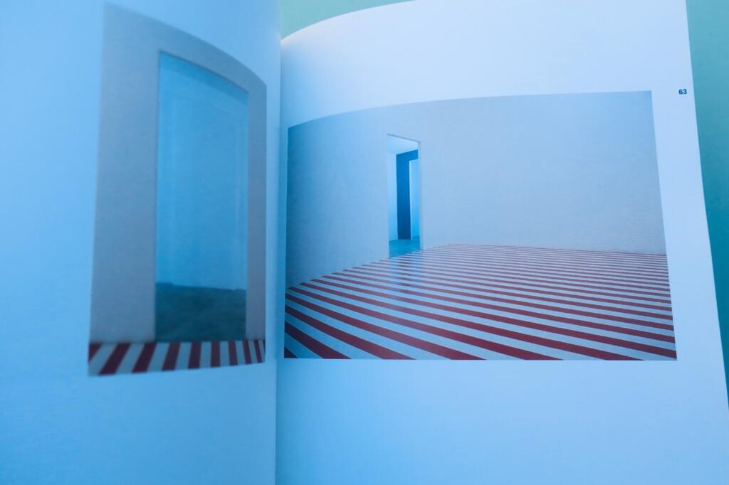 Daniel Buren Arguments Topiques - 展览