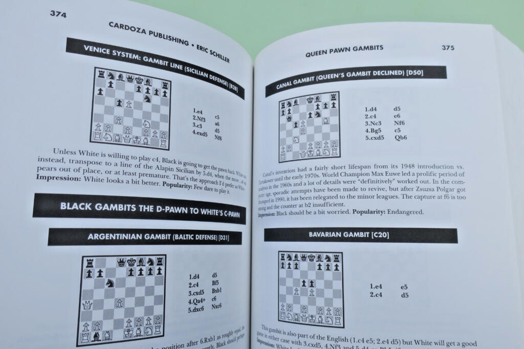 Schiller. 国际象棋 Gambit Chess Openings 埃里克·席勒 2002