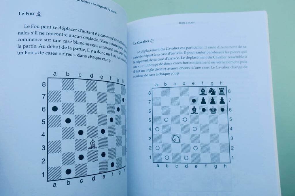 象棋《成功的对角线——象棋的隐藏优势》