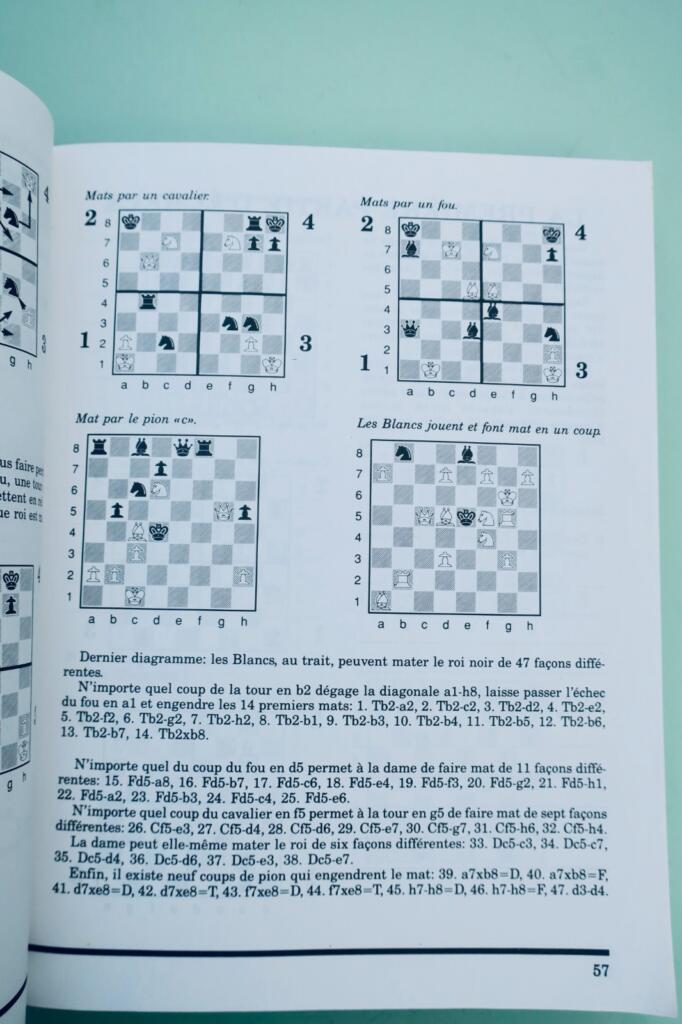国际象棋 Roman Pelts 完整国际象棋课程 魁北克联合会