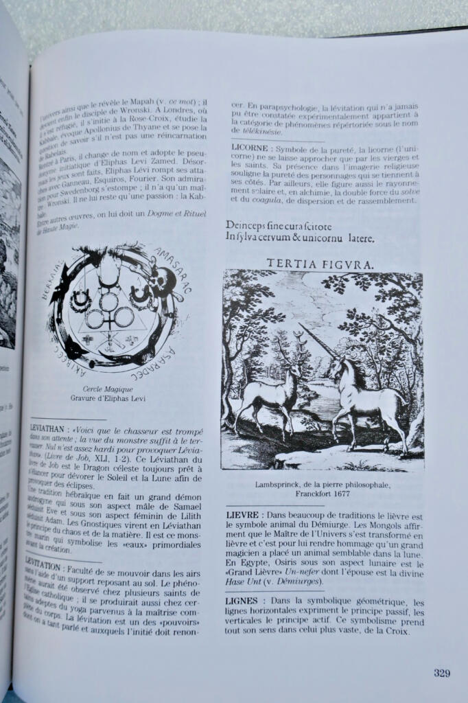 Dictionary of Occult Sciences and Esoteric Arts