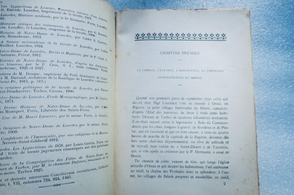 Bishop of the apparitions Mgr Laurence, Bishop of Tarbes 1845–1870