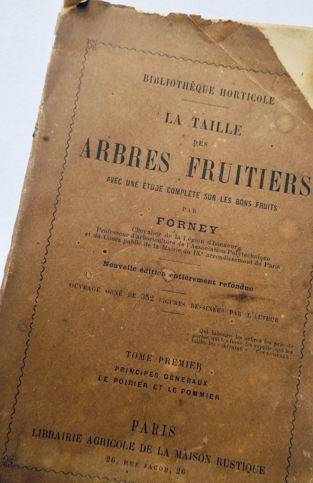Fruitier TAILLE DES ARBRES FRUITIERS T.1 LE POIRIER ET LE POMMIER – Image 2