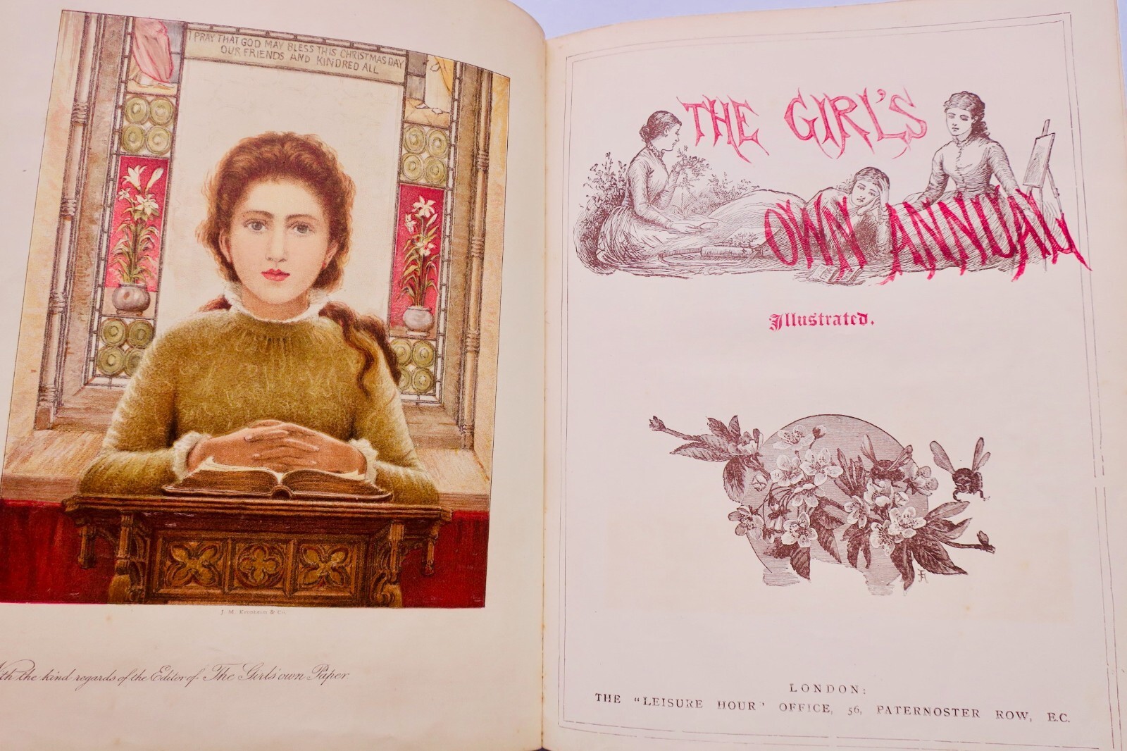 Girl's Own Annual Periodical 1882 – Image 3