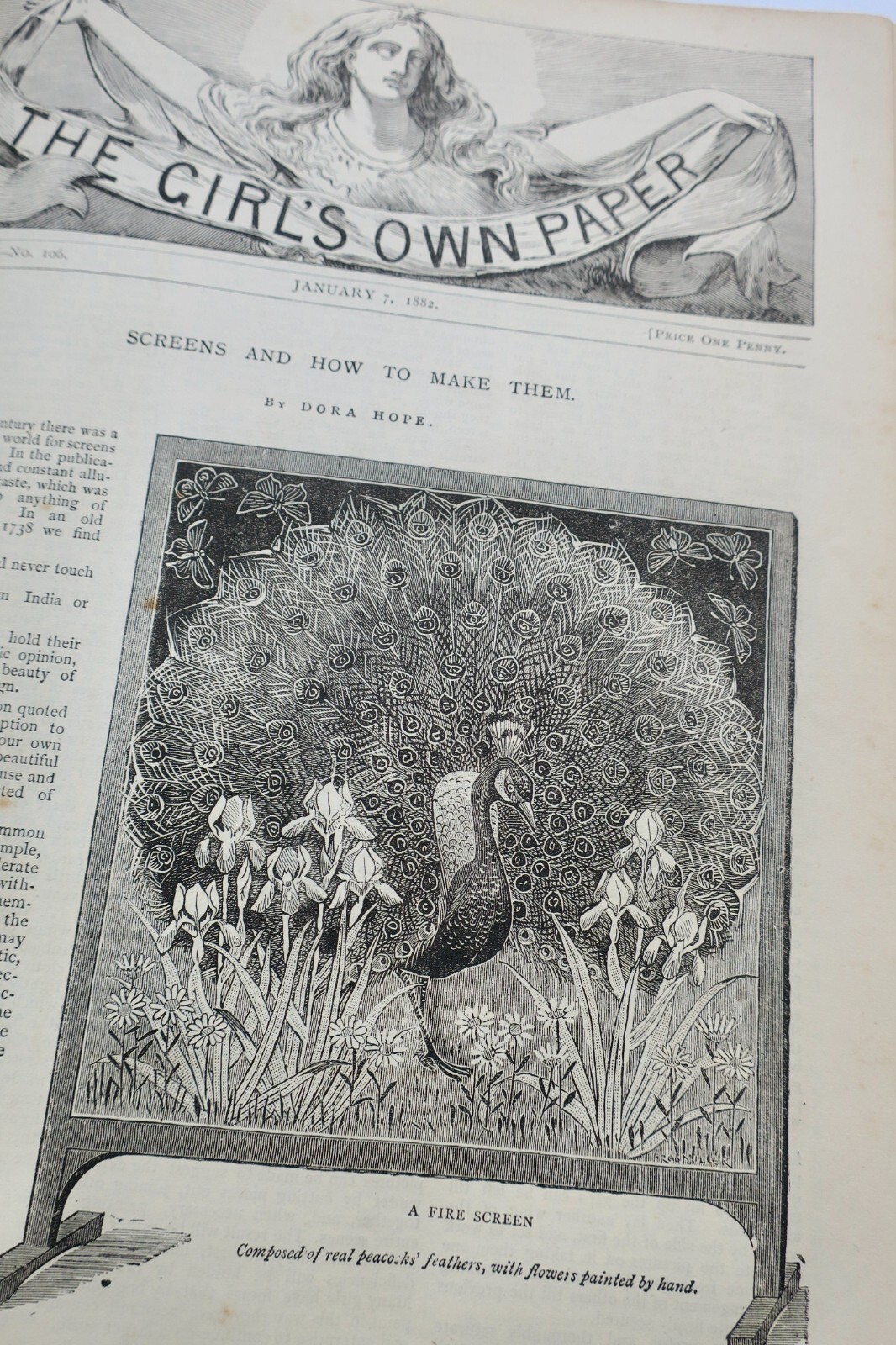 Girl's Own Annual Periodical 1882 – Image 9
