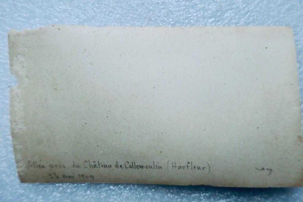 Harfleur allée du château de Collemoulin 76 carte stéréo