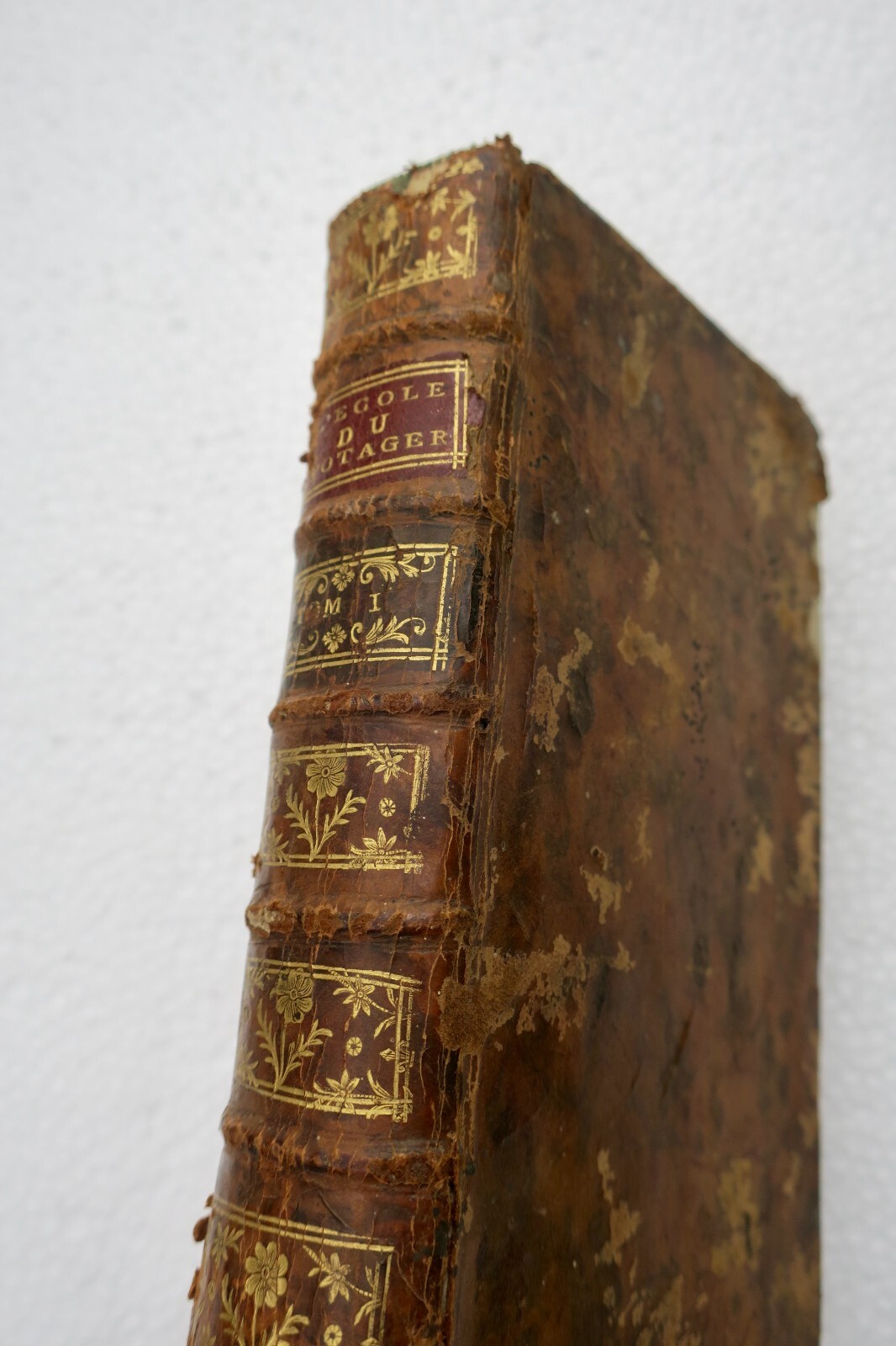Jardin – Die Schule des Gemüsegartens 1752