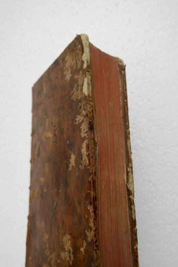 Umfassendes Handbuch zum Gemüseanbau und der Gartenkultur