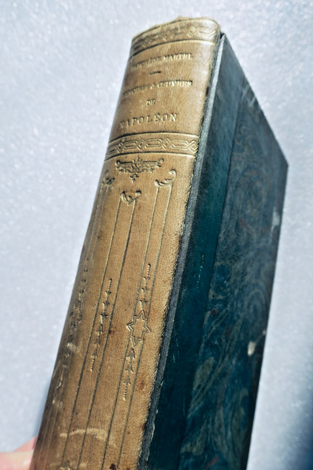 Napoleon Martel, Memoiren und Werke Napoleons