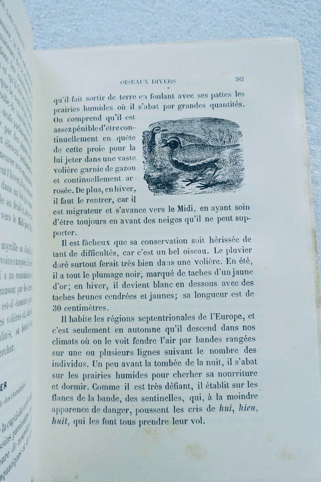 Champaime's Art of Raising and Training Birds 1889
