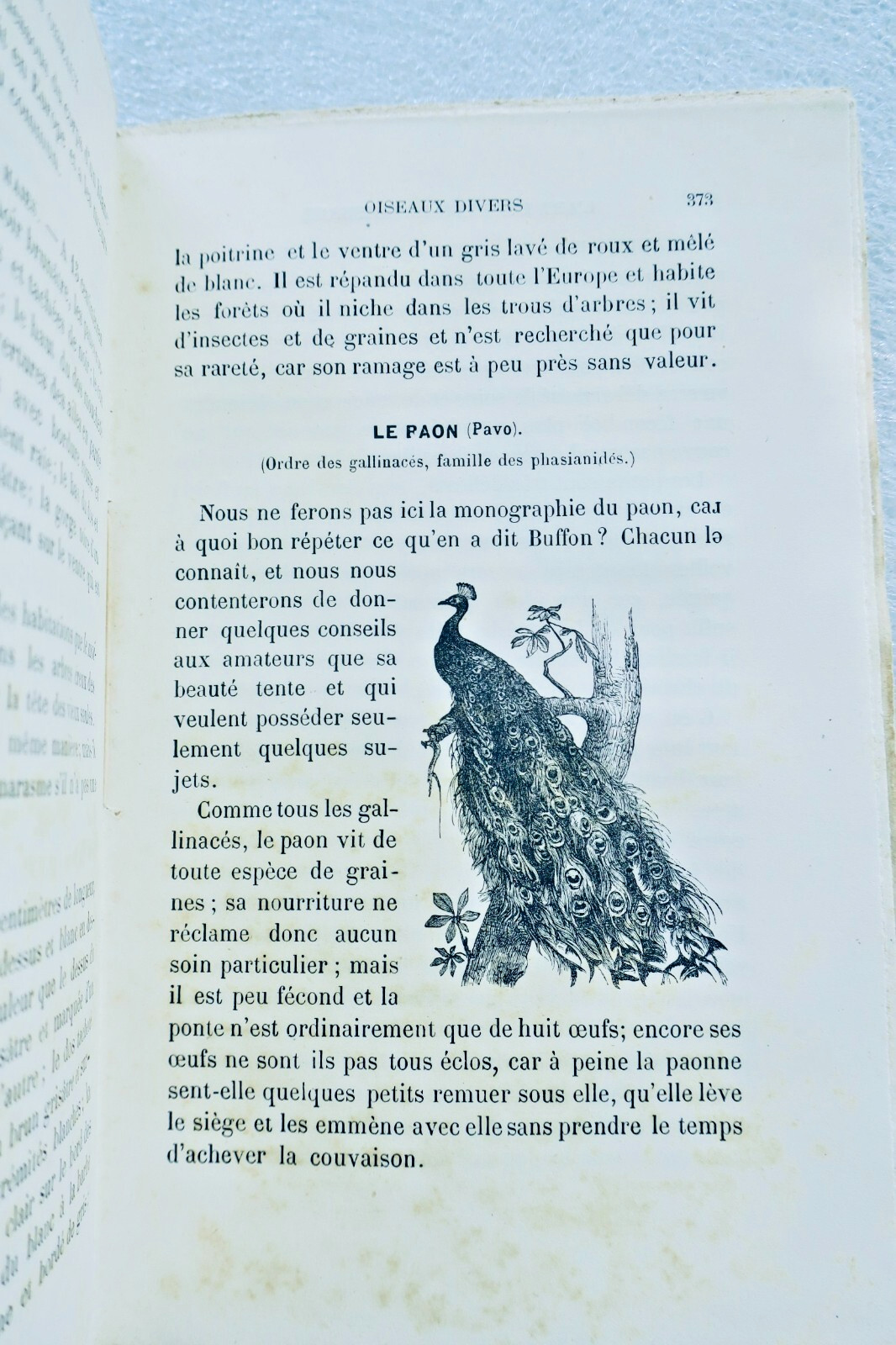 Champaime's Art of Raising and Training Birds 1889
