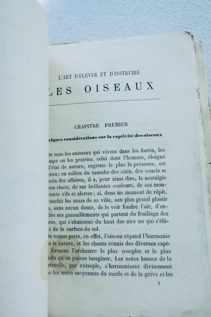 Oiseau CHAMPAIME L&rsquo;ART D&rsquo;ELEVER ET D&rsquo;INSTRUIRE LES OISEAUX 1889