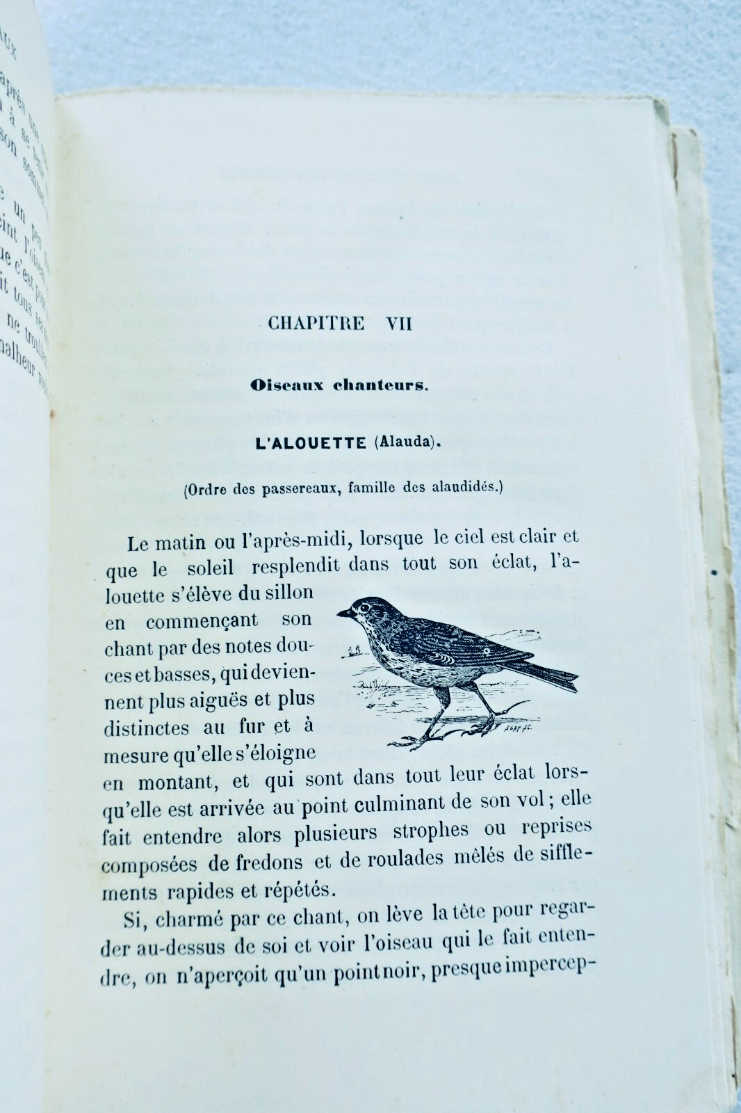 Champaime's Art of Raising and Training Birds 1889
