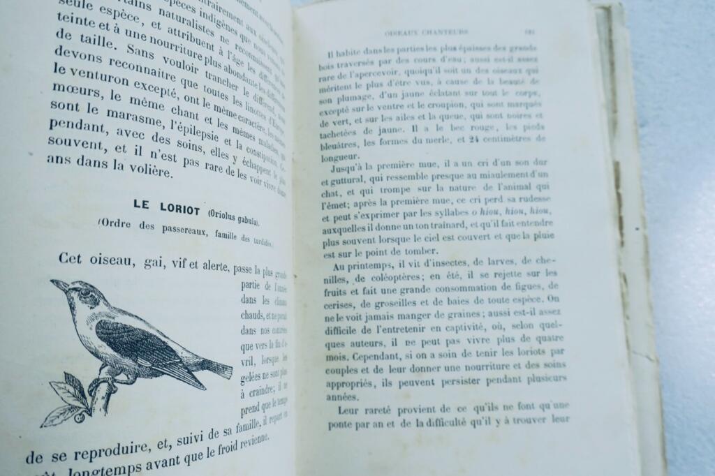 Oiseau CHAMPAIME L&rsquo;ART D&rsquo;ELEVER ET D&rsquo;INSTRUIRE LES OISEAUX 1889