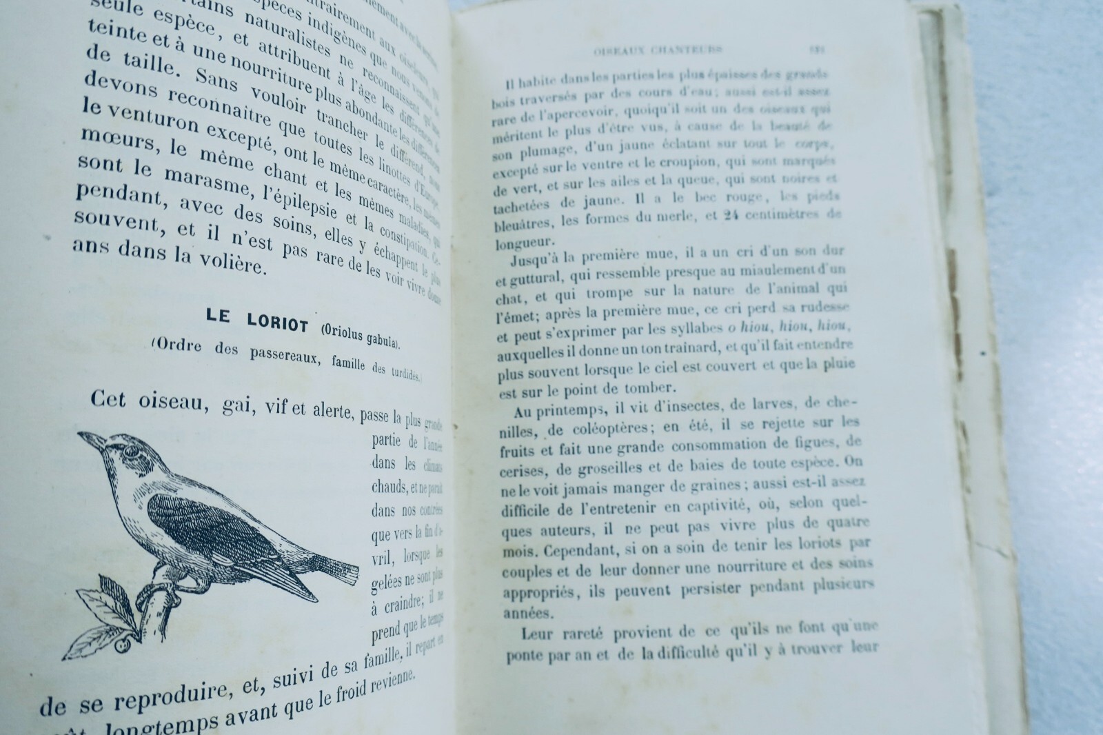 Champaime's Art of Raising and Training Birds 1889