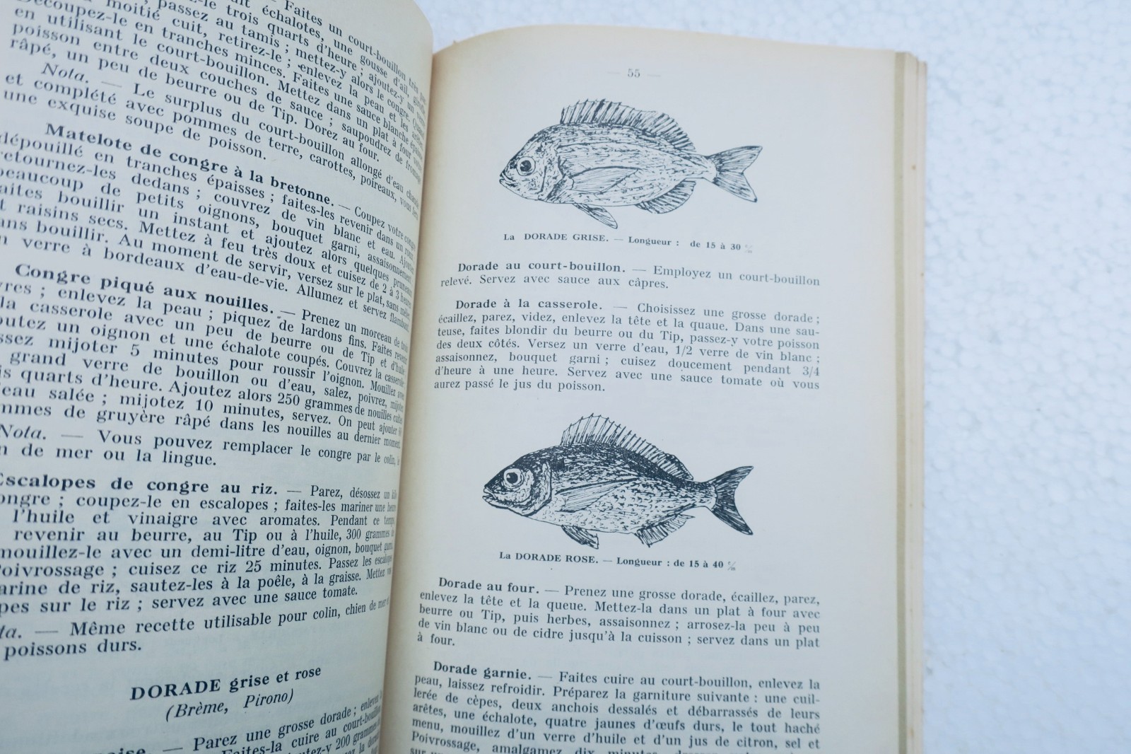 Beste Kochrezepte für Fisch und Krustentiere