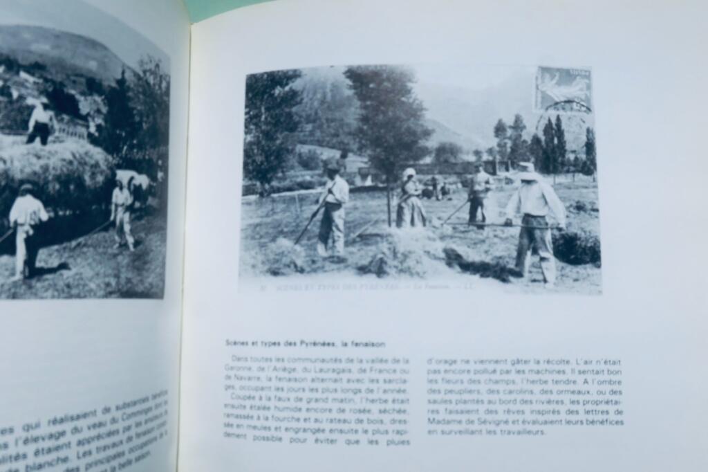 Pyrénées au temps des diligences et des postillons