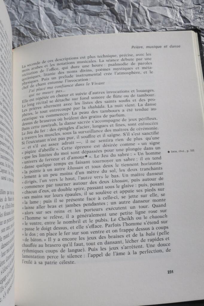 Sufismus: Die Trunkenheit Gottes in der islamischen Tradition