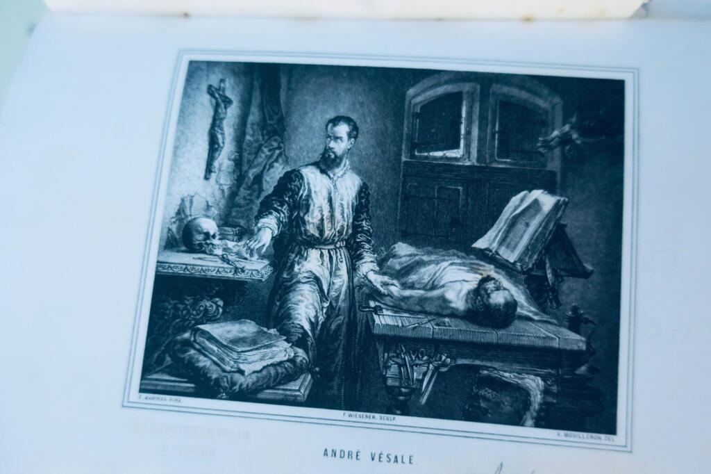 anatomie Bernard & Huette Précis iconographique de médecine opératoire 1846